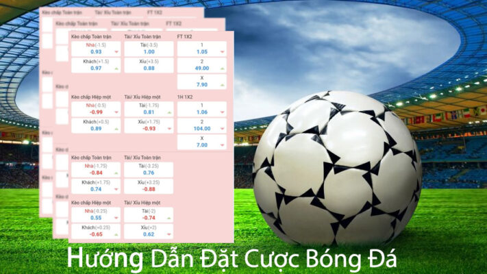 Bóng đá 24 live football score đặt cược hay