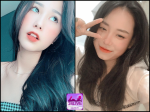 Giới thiệu về idol live stream