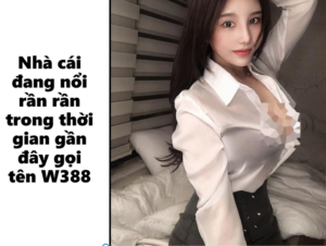 Vài nét sơ lược về nhà cái W388