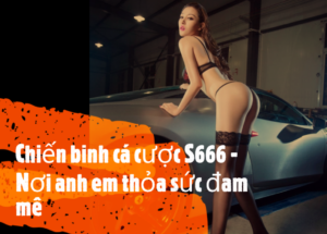 Chiến binh cá cược S666 - Nơi anh em thỏa sức đam mê