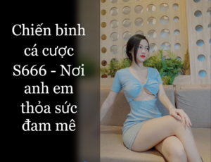 Giới thiệu chung khái quát về nhà cái S666