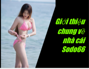 Giới thiệu chung về nhà cái Sodo66